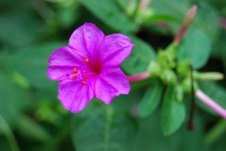 高官与风水 风水催官秘术